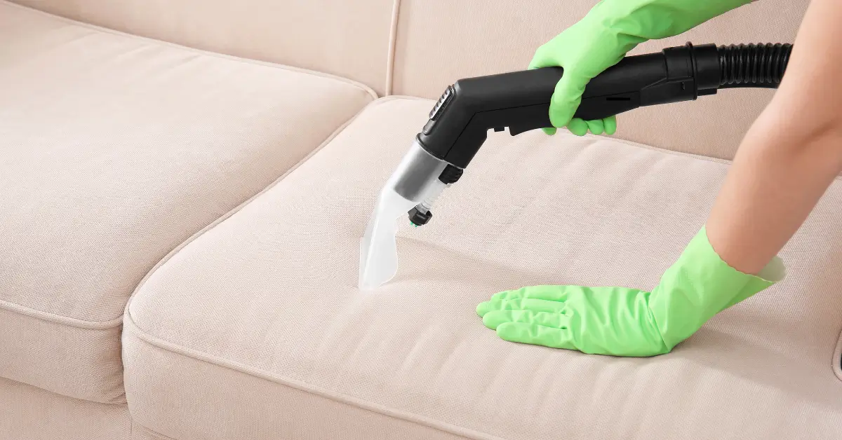 couch & sofa cleaning