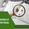 how to dispose of bed bug mattress